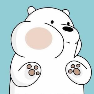 Meet your Posher, Van